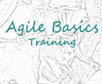 Agile Training